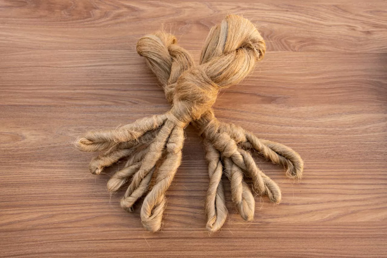 Honeyview_IMG-20251118-WA0018 1